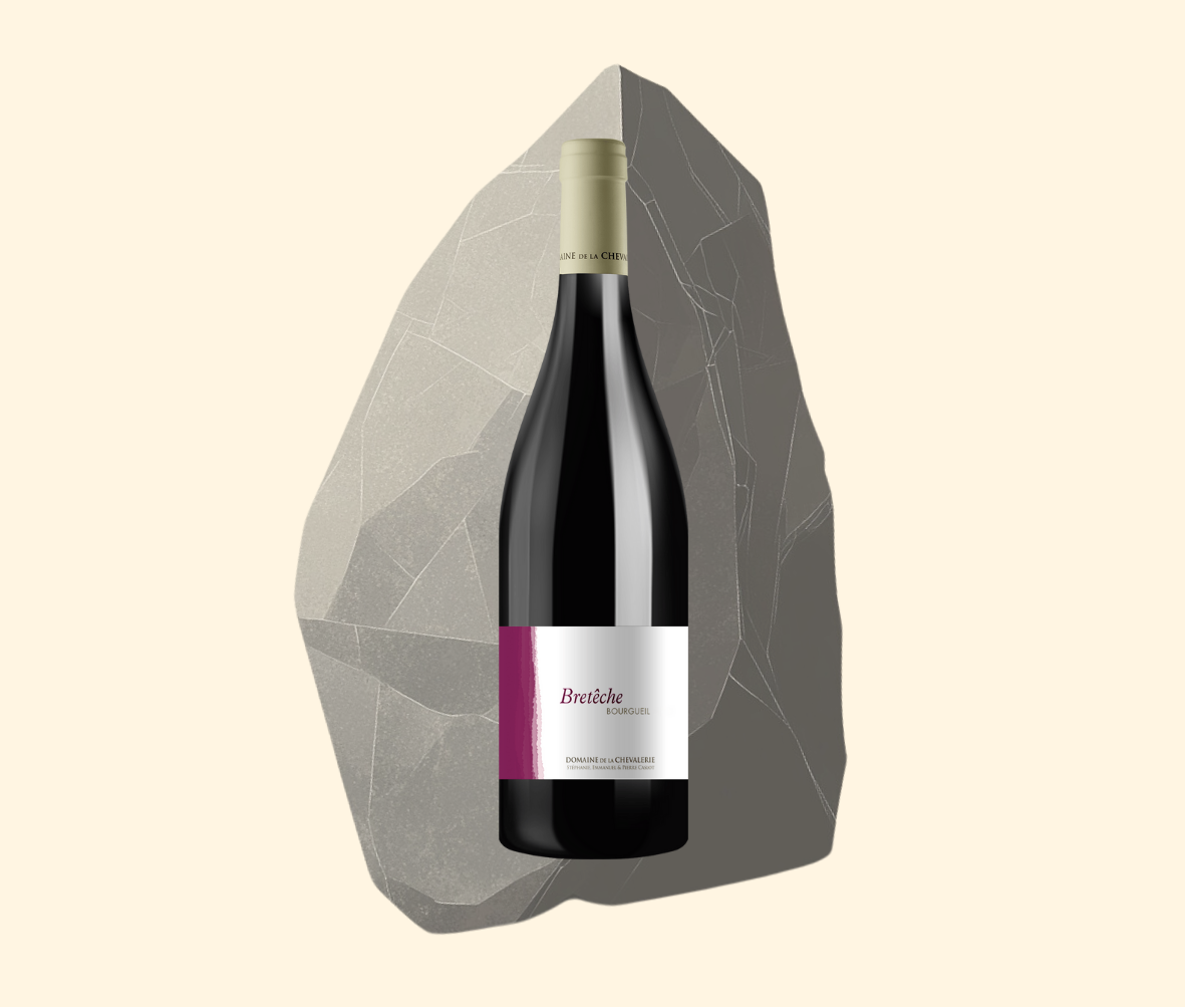 2015 Domaine de la Chevalerie Bourgueil "Breteche"