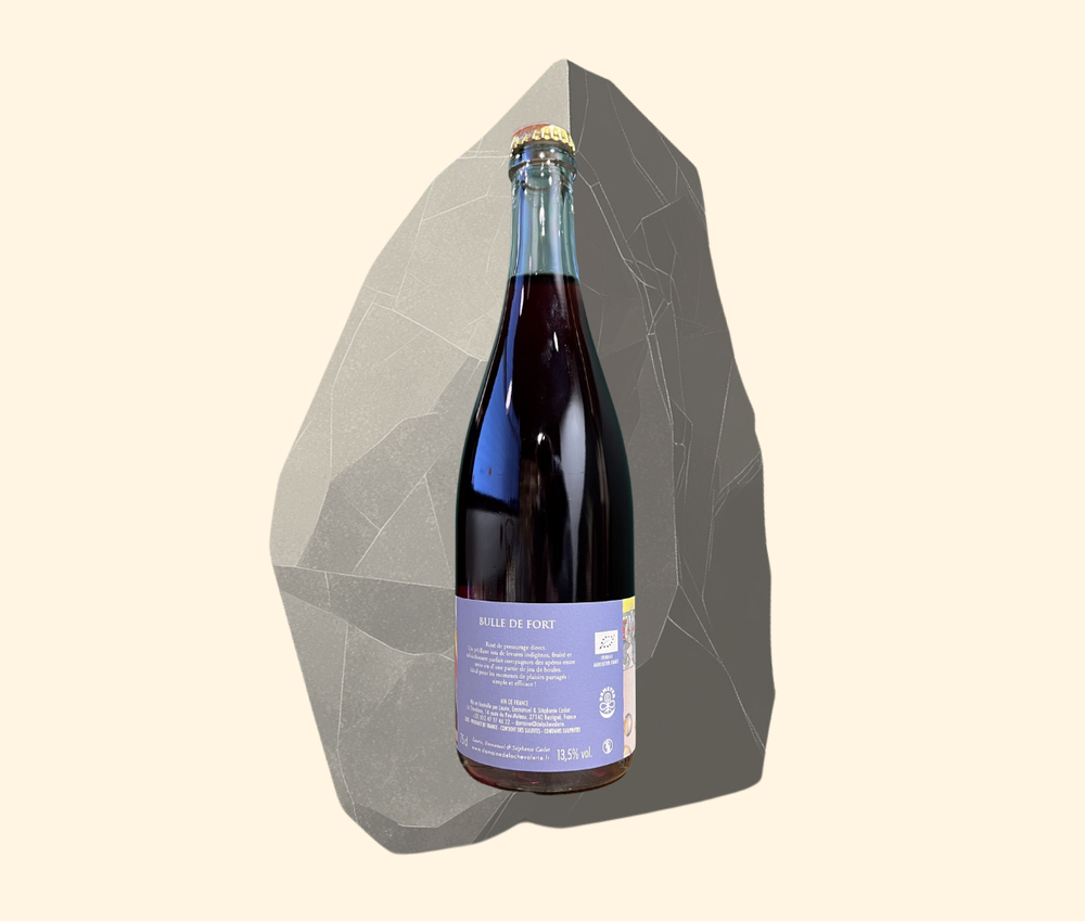 2020 Domaine de la Chevalerie Bulle de Fort (Pet-Nat)