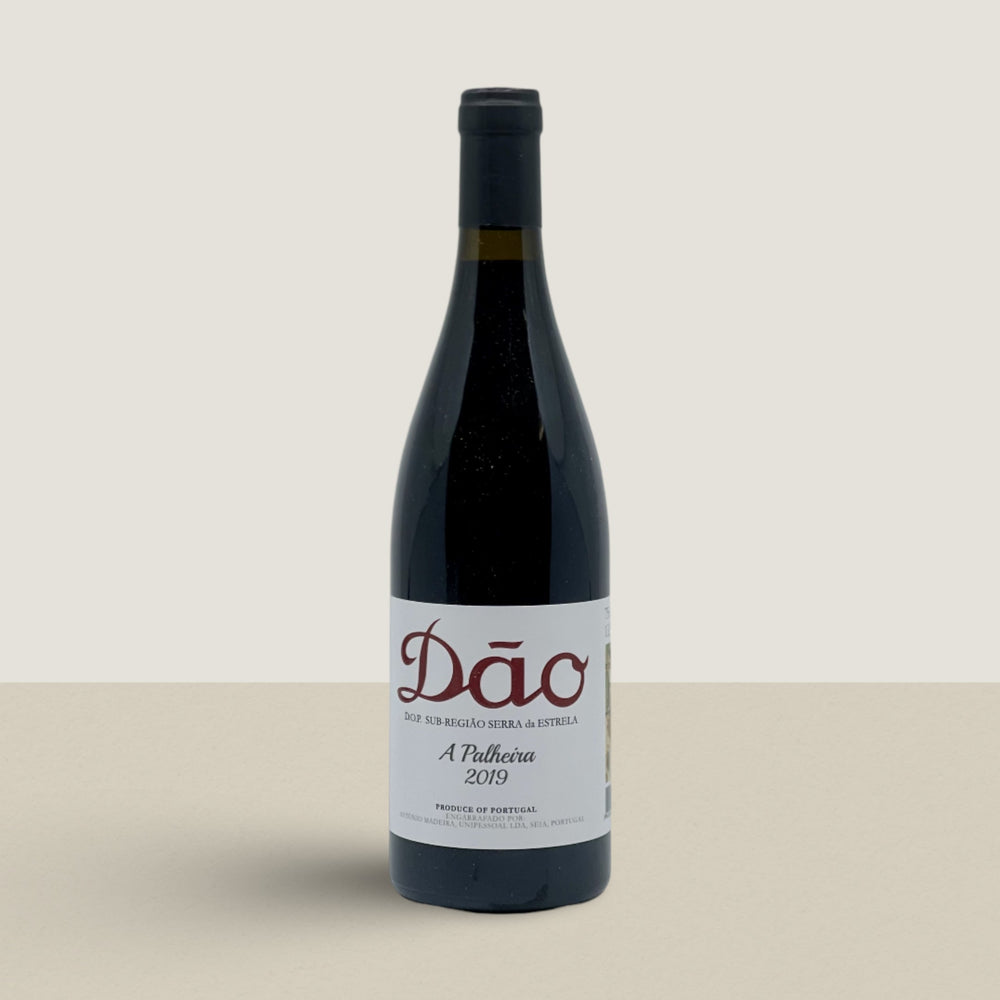 Antonio Madeira A Palheira 2019