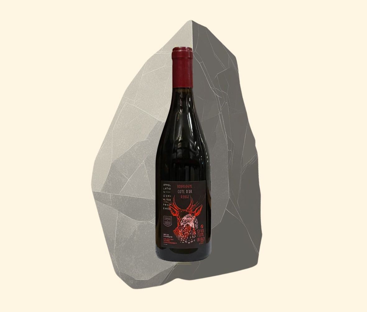 2023 Chapuis & Chapuis, Bourgogne Côte d'Or Rouge