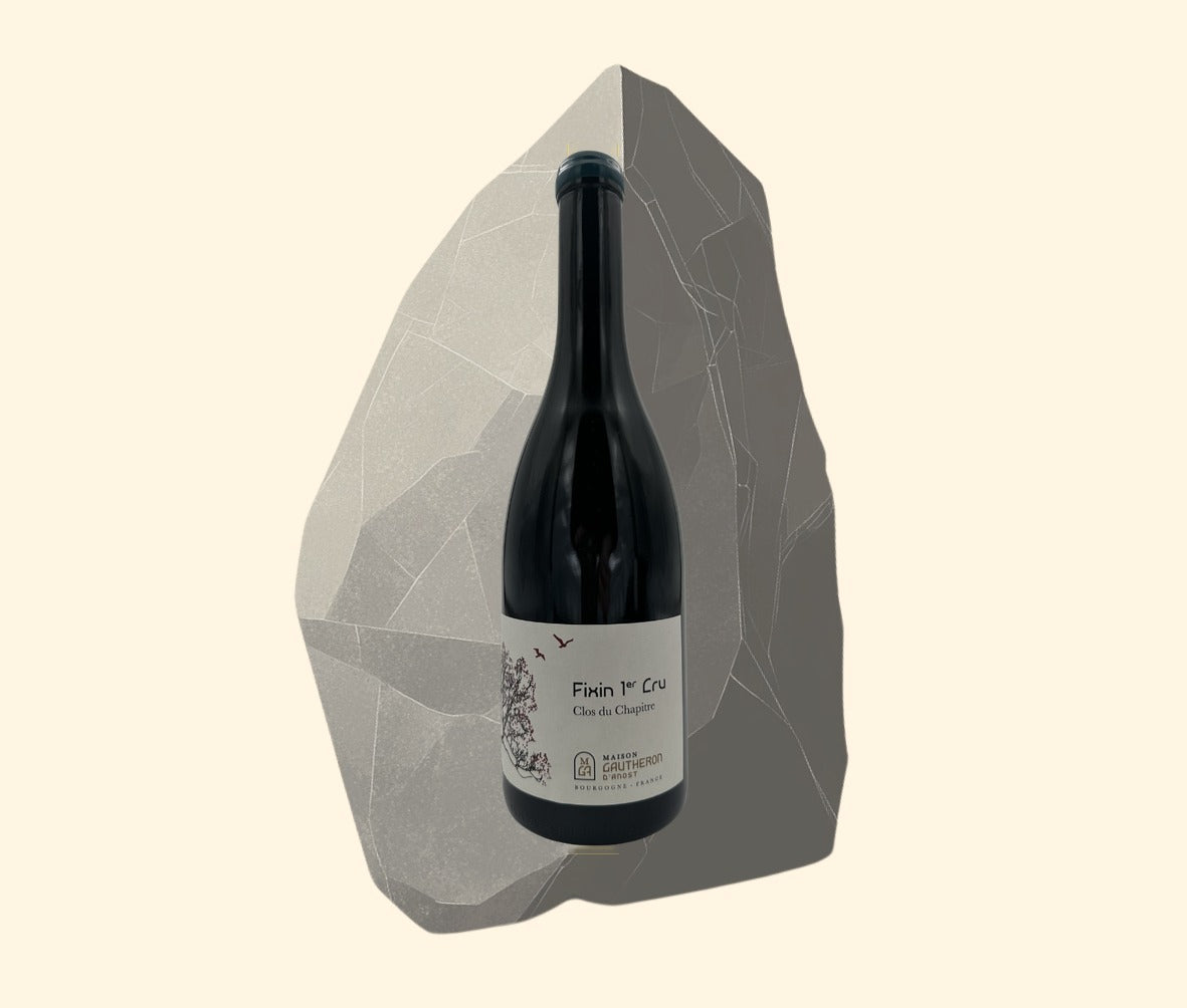 2021 Maison Gautheron d'Anost, Fixin "Clos du Chapitre" 1er Cru