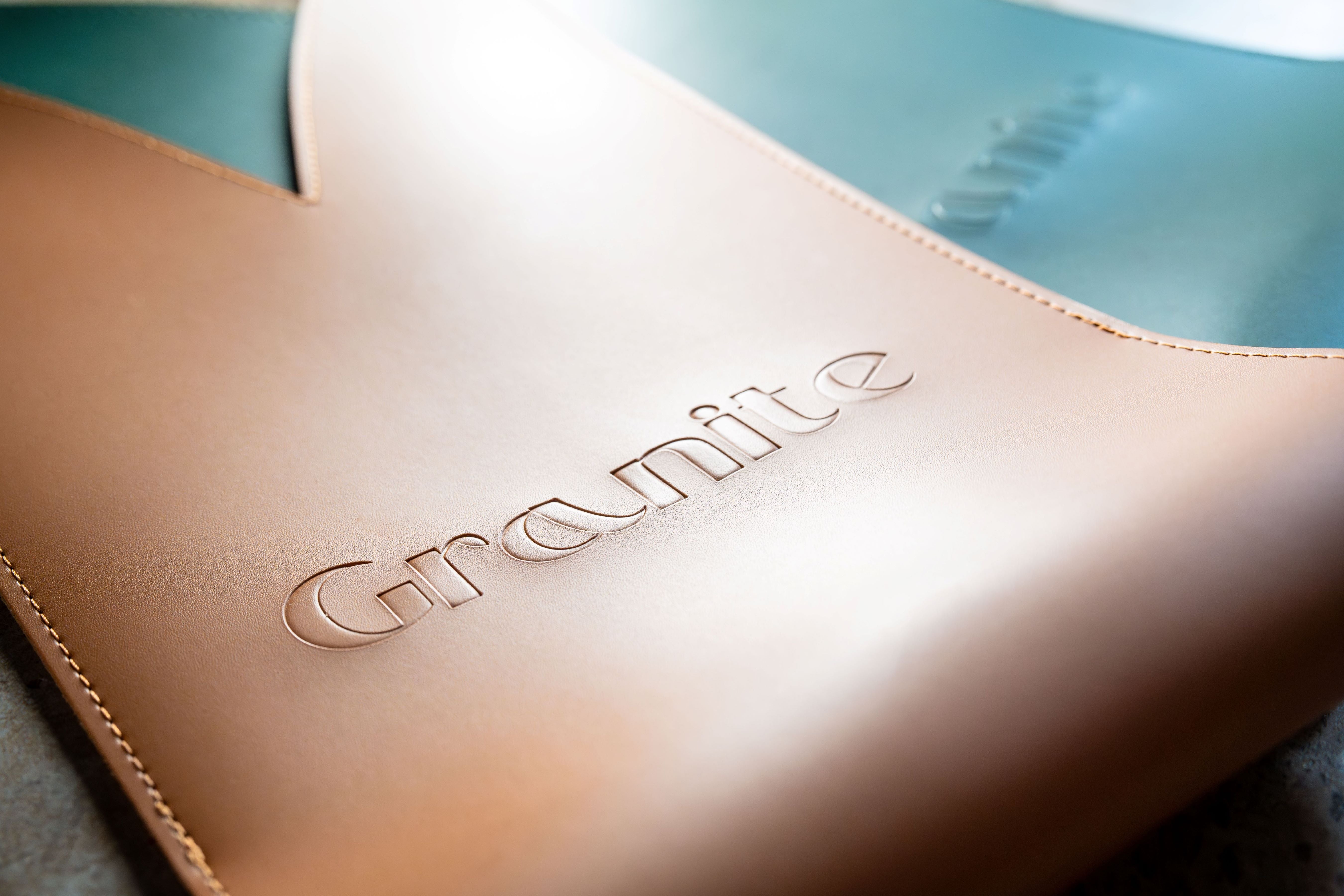 Leather Wine Bag - Cognac & Forest Green