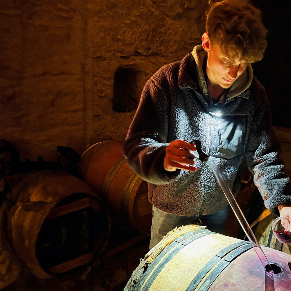 
                      
                        Domaine Theo Blet, La Peyanne 2023
                      
                    